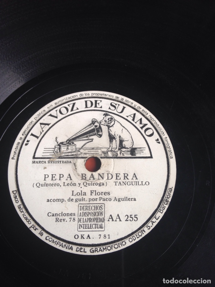 Discos de pizarra: Pepa bandera Lola flores - Foto 1