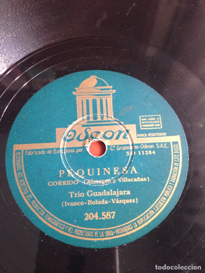 Discos de pizarra: Pequinesa tr&iacute;o Guadalajara - Foto 1