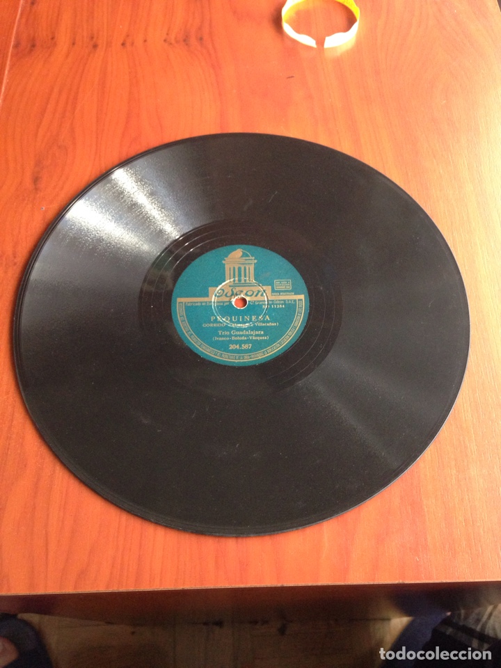Discos de pizarra: Pequinesa tr&iacute;o Guadalajara - Foto 2