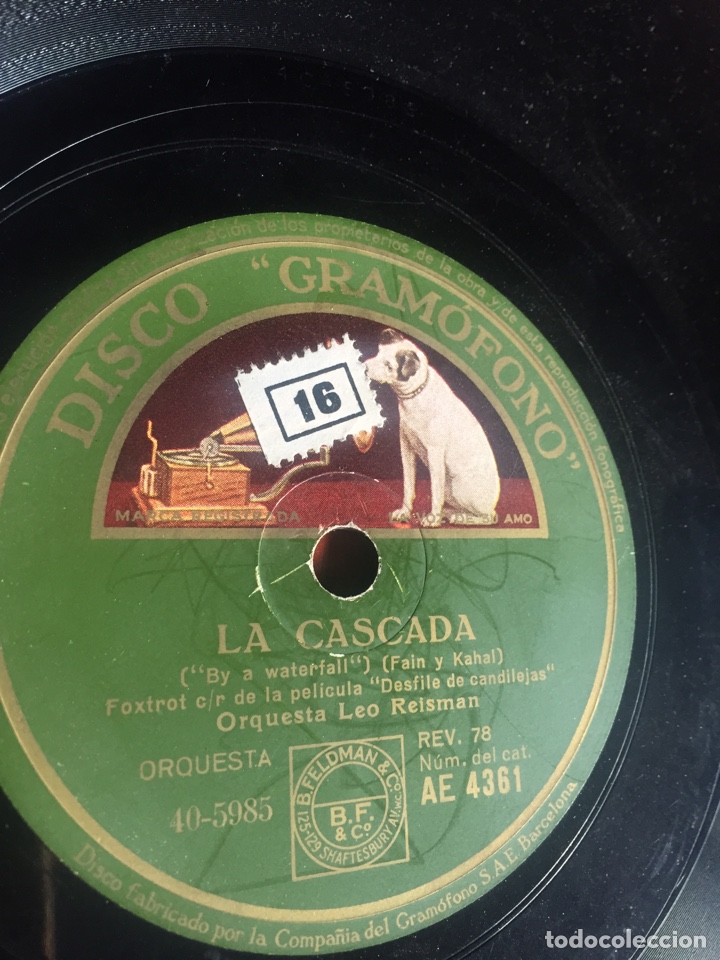 Discos de pizarra: Miau - Foto 3