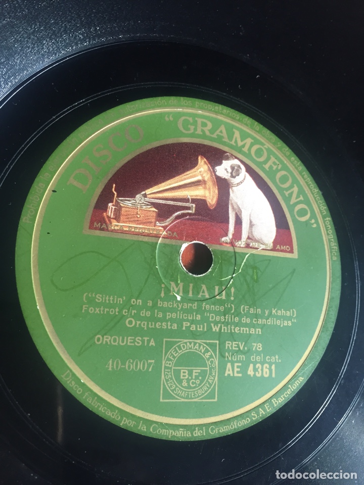 Discos de pizarra: Miau - Foto 1