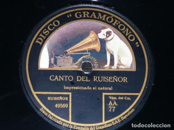 Discos de pizarra: DISCO 78 RPM - GRAMOFONO - CANTO DEL RUISEÑOR - AL NATURAL - RARO - BARCELONA - PIZARRA - Foto 1 - 200841346