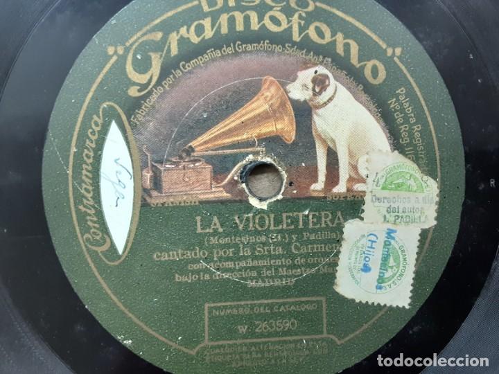 Discos de pizarra: CARMEN FLORES, TADEO, LA VIOLETERA - Foto 2