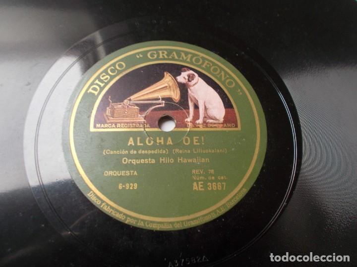 Discos de pizarra: ORQUESTA HILO HAWAIIAN Aloha Oe! / El Rosario - Foto 2