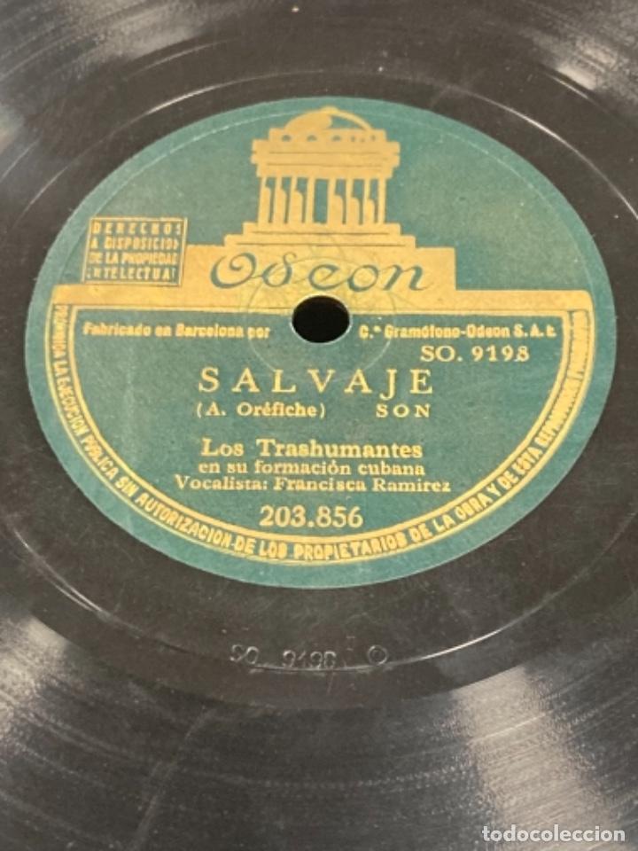 Discos de pizarra: Magnifico disco de pizarra antiguo - Foto 1