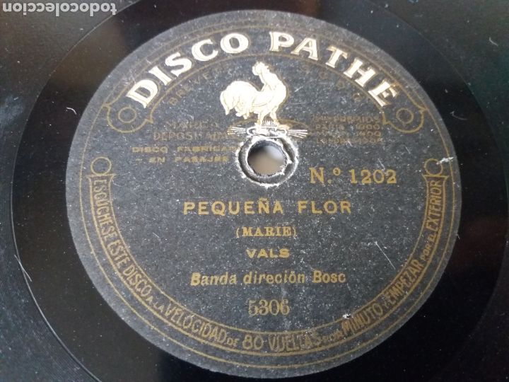 Discos de pizarra: PEQUE&Ntilde;A FLOR/TESORO M&Iacute;O. VALS. - Foto 1