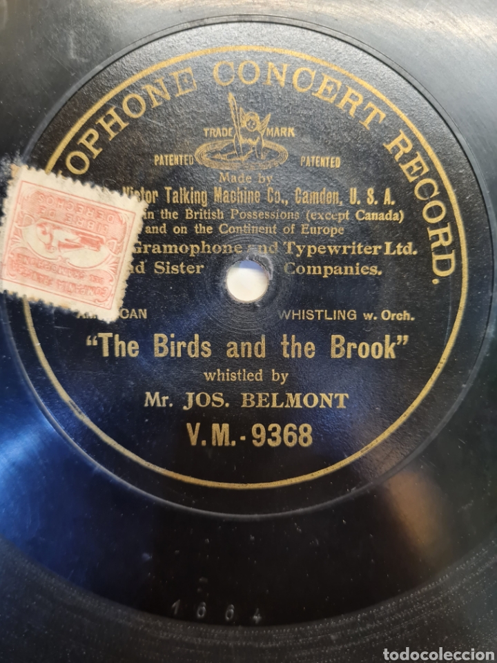 Discos de pizarra: Los pajaros en el bosque - Foto 2