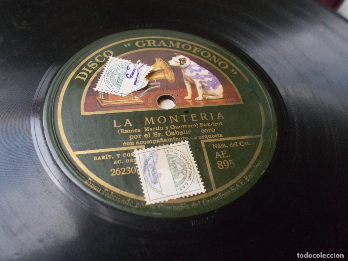 Discos de pizarra: Sr. CARBALL&Eacute; - Sra. LLUR&Oacute; La monter&iacute;a - Foto 2