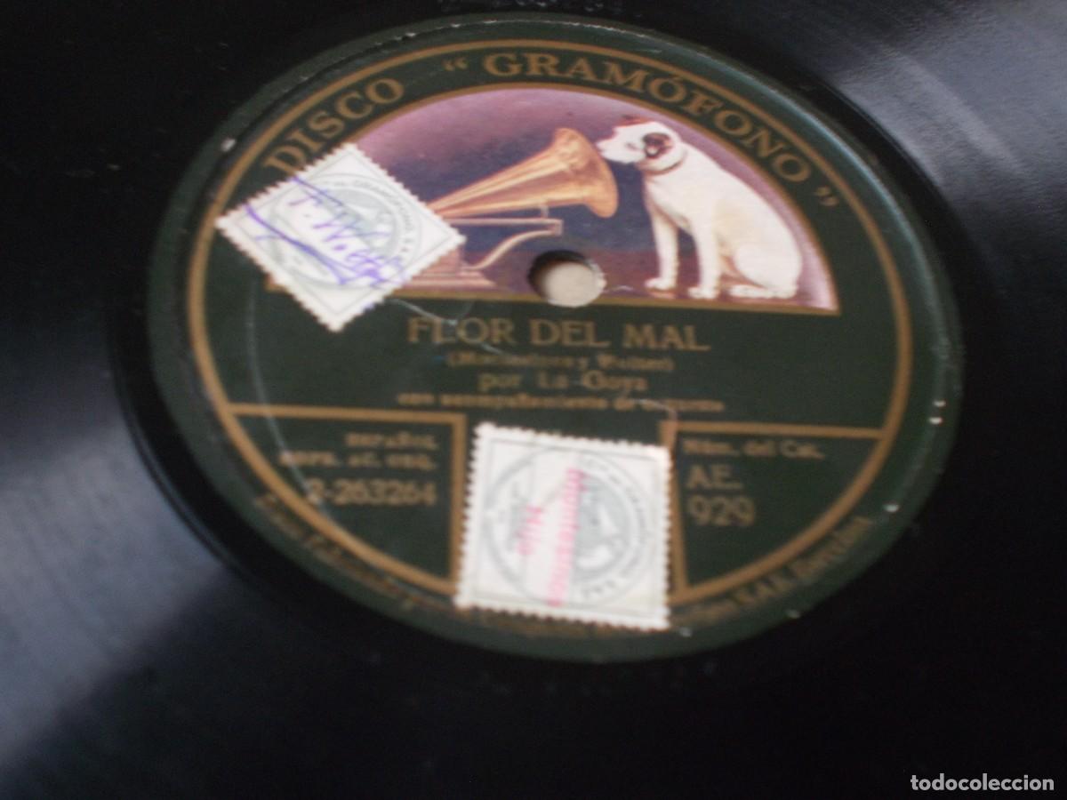 Discos de pizarra: LA GOYA Flor del mal / El mu&ntilde;eco de la Rosina - Foto 2