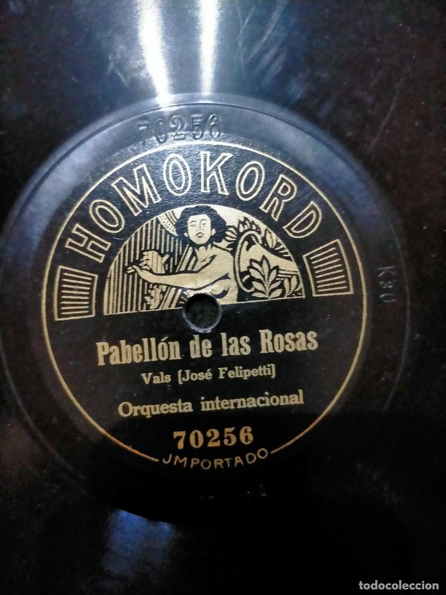 Discos de pizarra: DISCO PIZARRA GRAMOLA - Foto 2