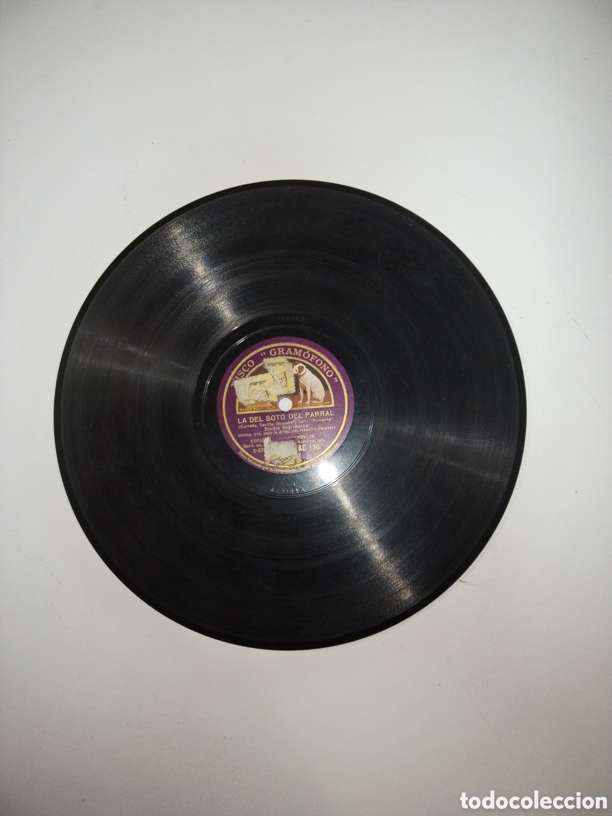 Discos de pizarra: Disco pizarra la del Soto del Parral - Foto 1