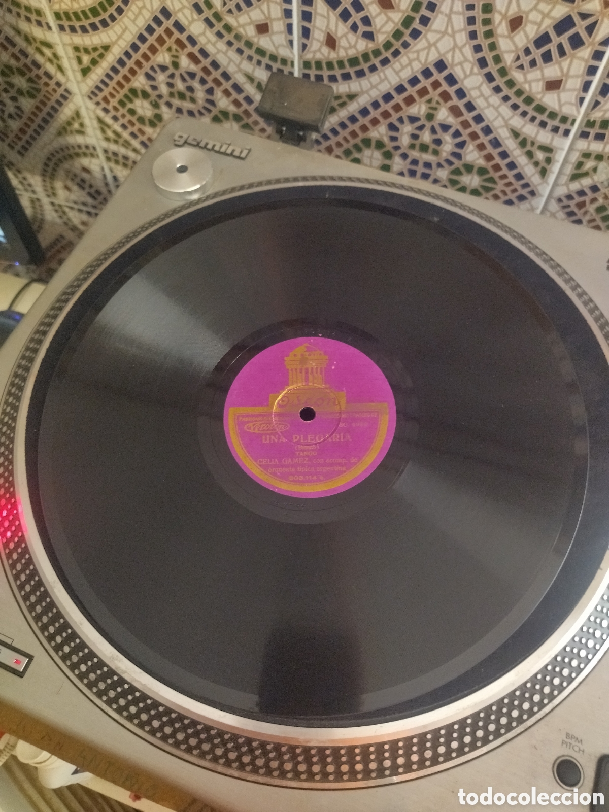 Discos de pizarra: Celia Gamez - Foto 3