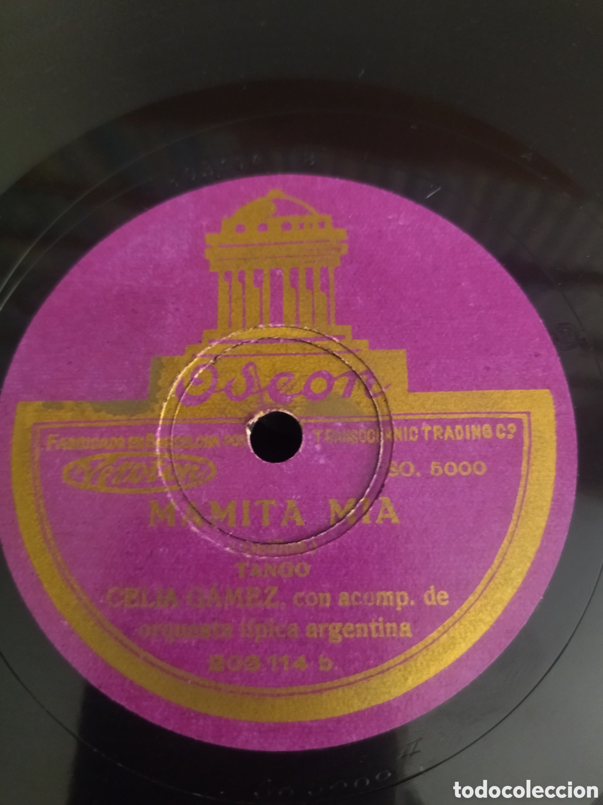 Discos de pizarra: Celia Gamez - Foto 1