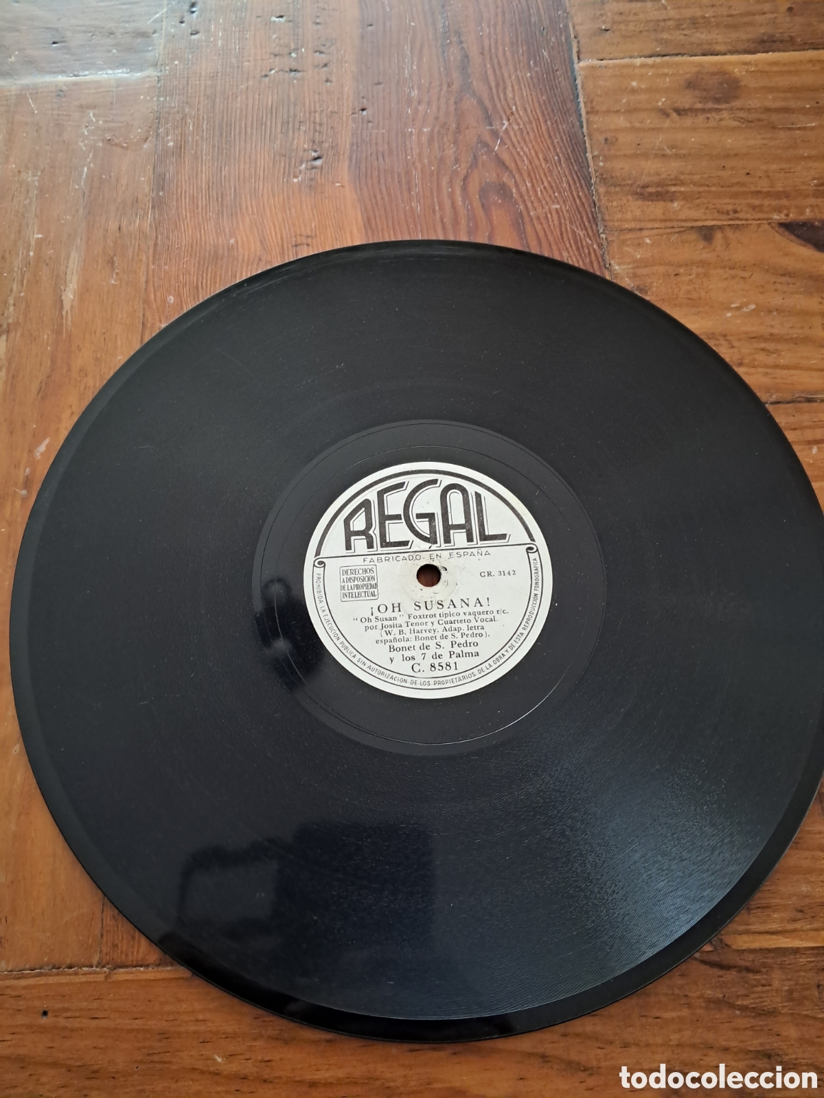 Discos de pizarra: Bonet de San Pedro - Foto 2