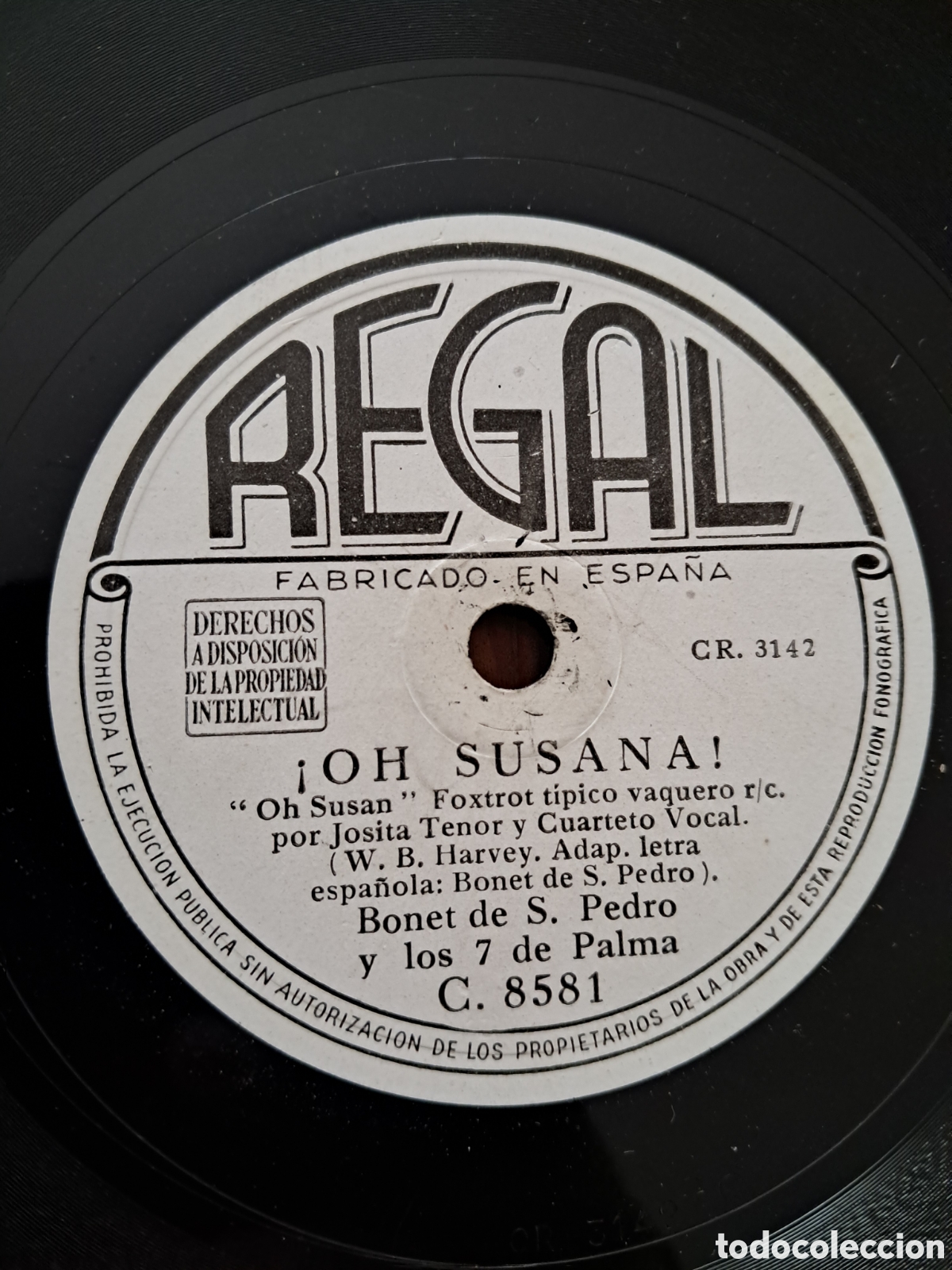 Discos de pizarra: Bonet de San Pedro - Foto 1