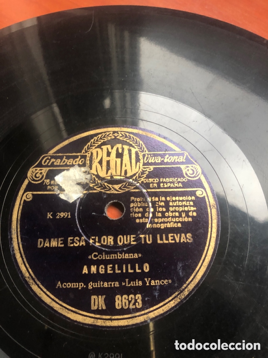 Discos de pizarra: El ver un p&aacute;jaro herido angelillo - Foto 4