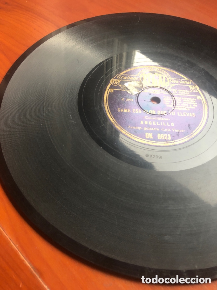 Discos de pizarra: El ver un p&aacute;jaro herido angelillo - Foto 6