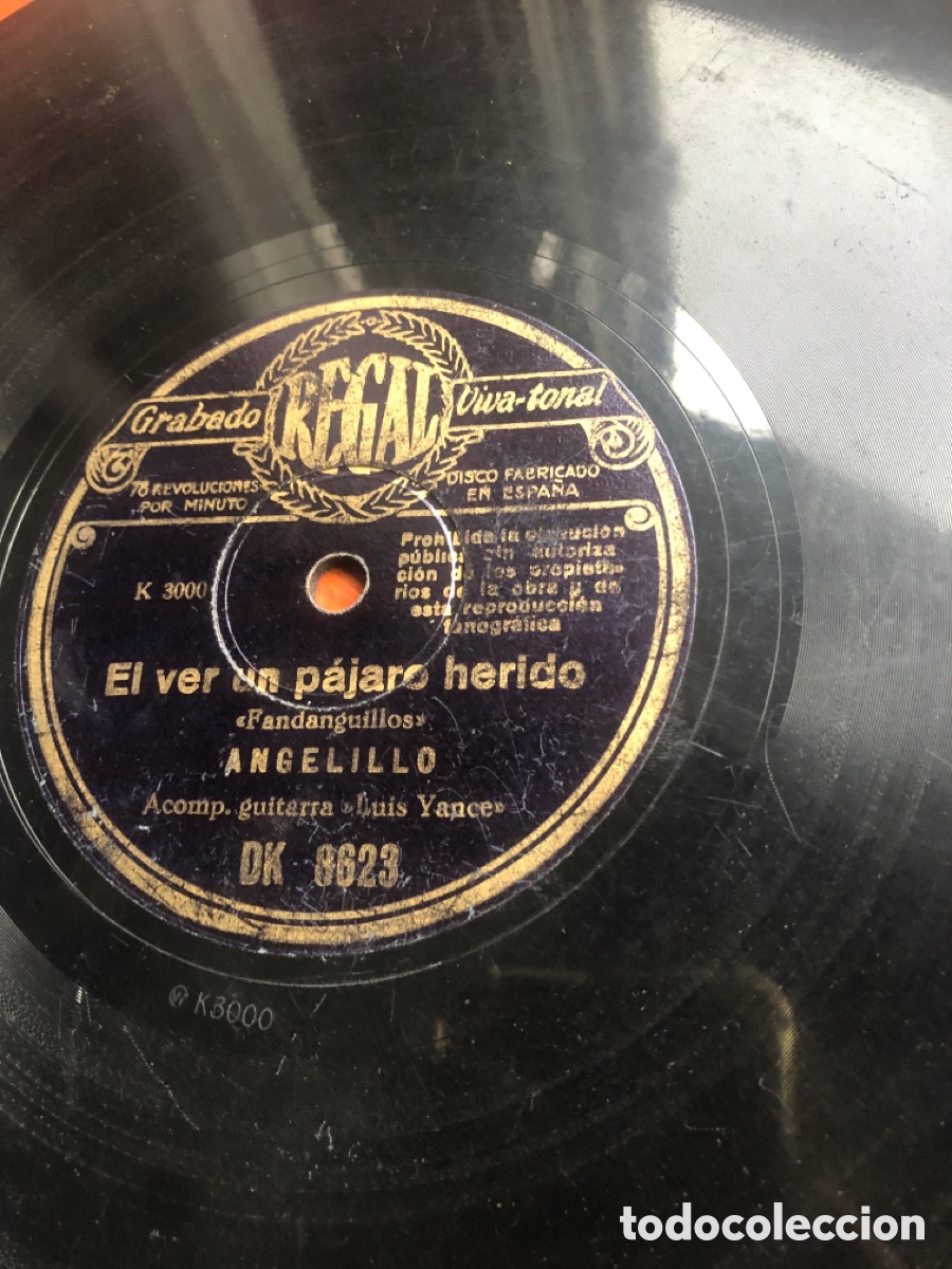 Discos de pizarra: El ver un p&aacute;jaro herido angelillo - Foto 1