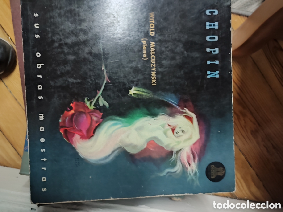 Discos de pizarra: DISCOS DE PIZARRA, APROXIMADAMENTE 290 - Foto 13