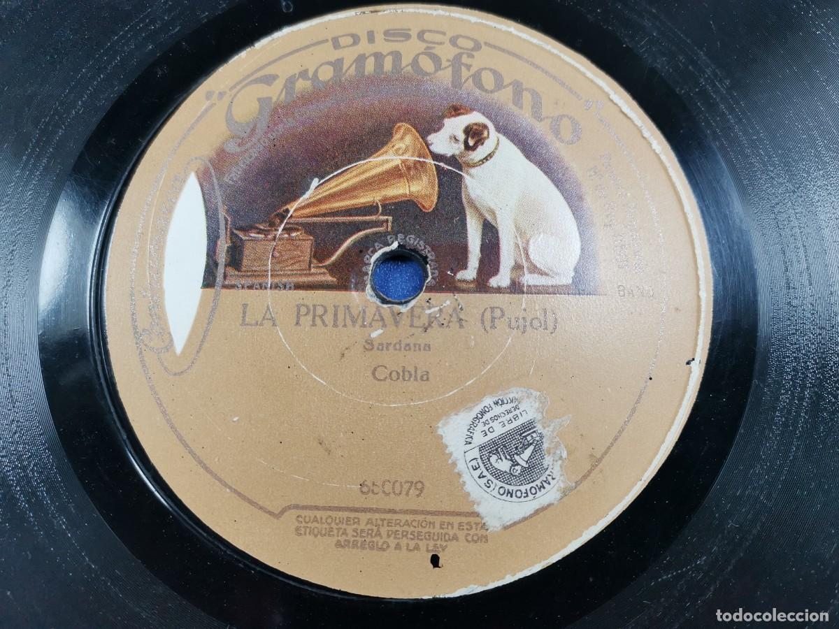 Discos de pizarra: COBLA-SARDANA-LA PRIMAVERA--EL GEGANT DEL PI - Foto 3