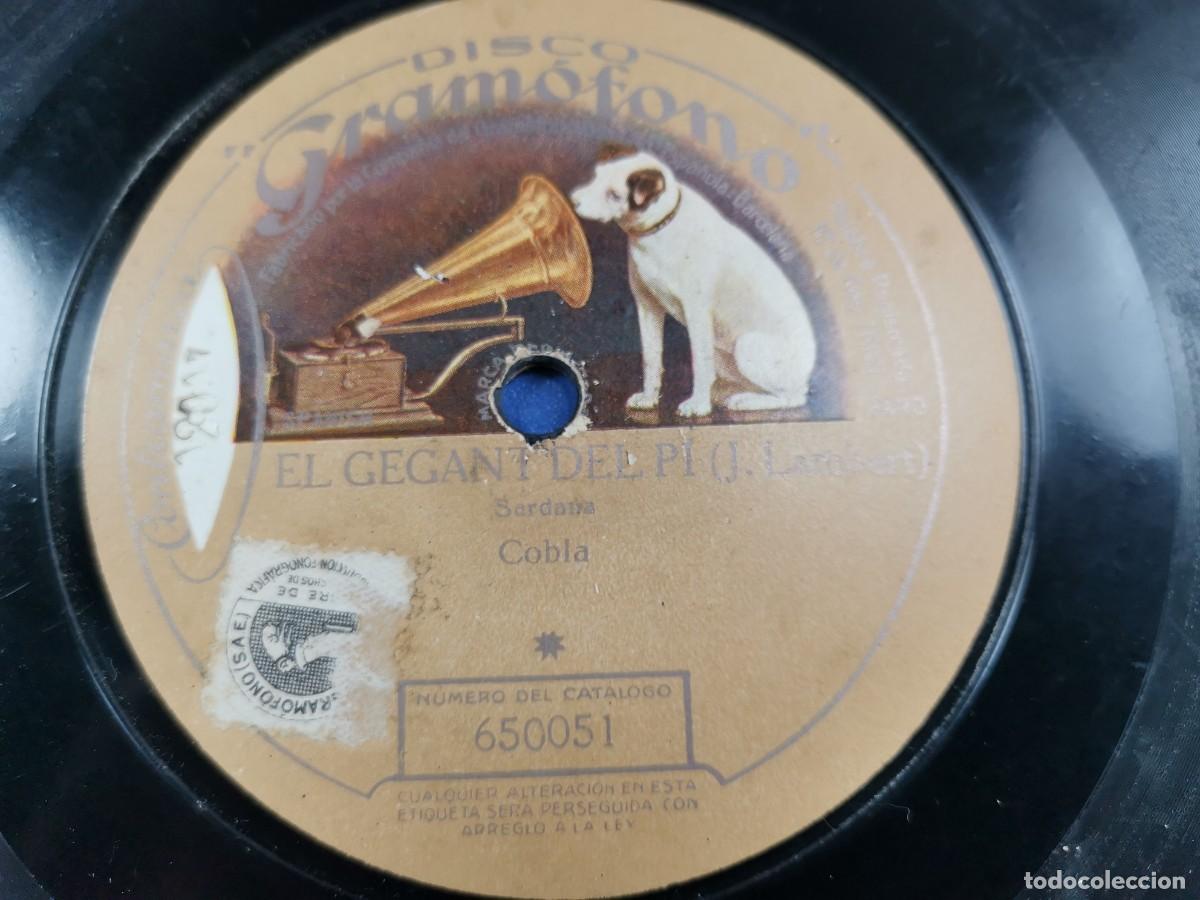 Discos de pizarra: COBLA-SARDANA-LA PRIMAVERA--EL GEGANT DEL PI - Foto 5