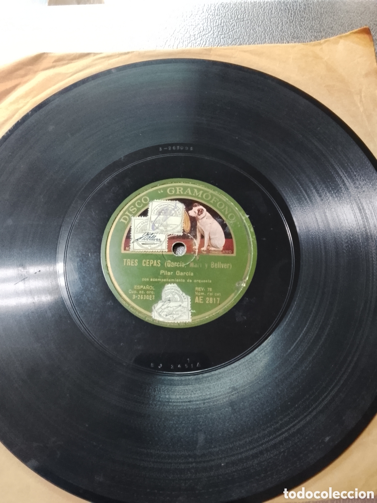 Discos de pizarra: Disco de pizarra Tres cepas Pilar Garc&iacute;a - Foto 4