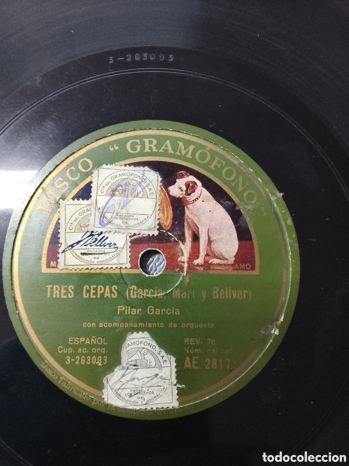 Discos de pizarra: Disco de pizarra Tres cepas Pilar Garc&iacute;a - Foto 1
