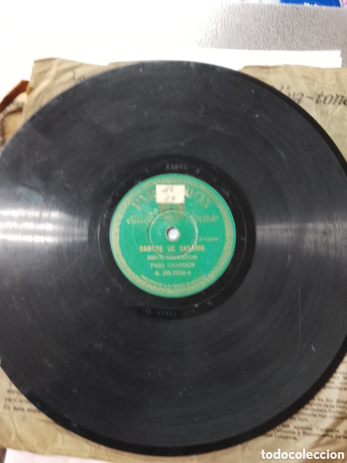 Discos de pizarra: Disco de pizarra cantos de canario disco educador - Foto 4