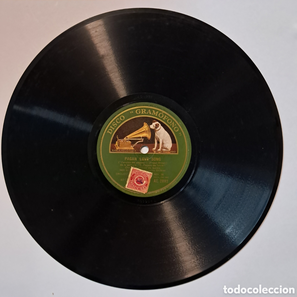 Discos de pizarra: Disco Pizarra PAGAN LOVE SONG - Foto 1