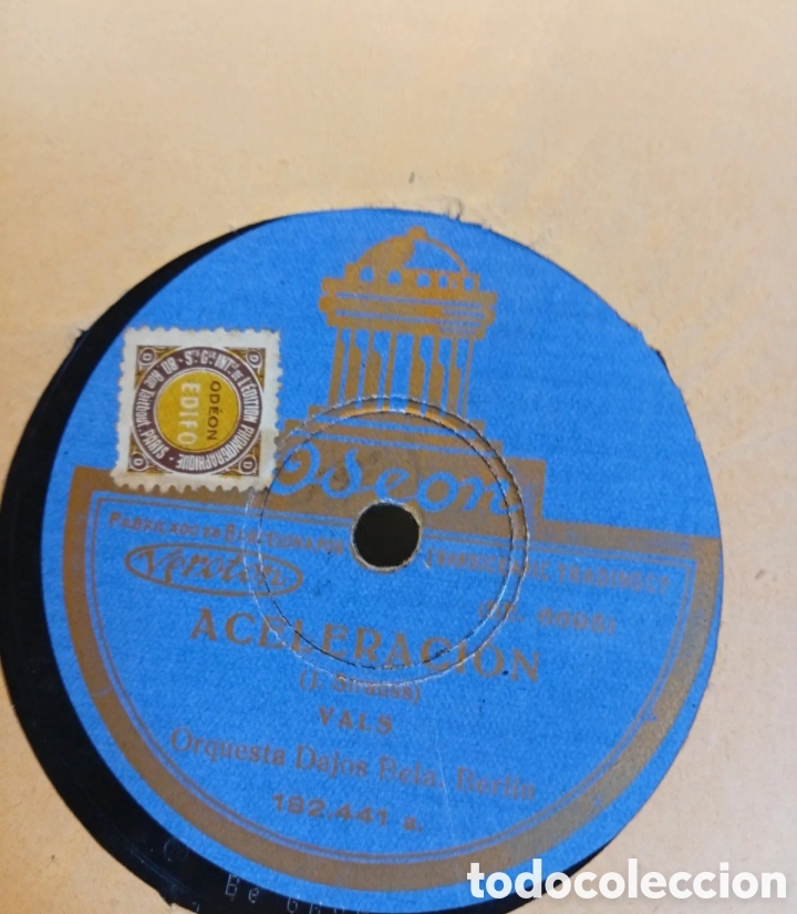 Discos de pizarra: Aceleraci&oacute;n y misteriosa de la selva vienesa antiguo disco de pizarra