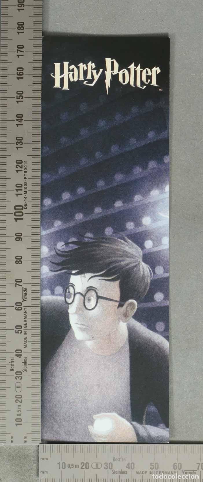 Discos de pizarra: DISCO DE PIZARRA. HARRY POTTER. SALAMANDRA