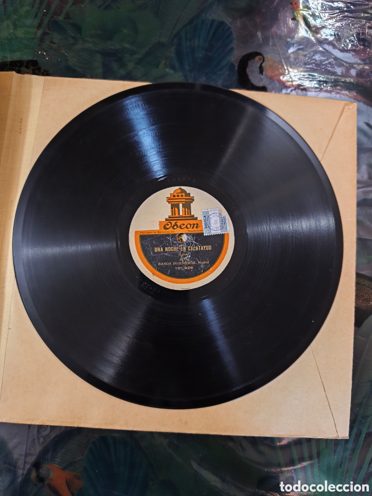 Discos de pizarra: Disco de pizarra una noche en Calatayud - Foto 2