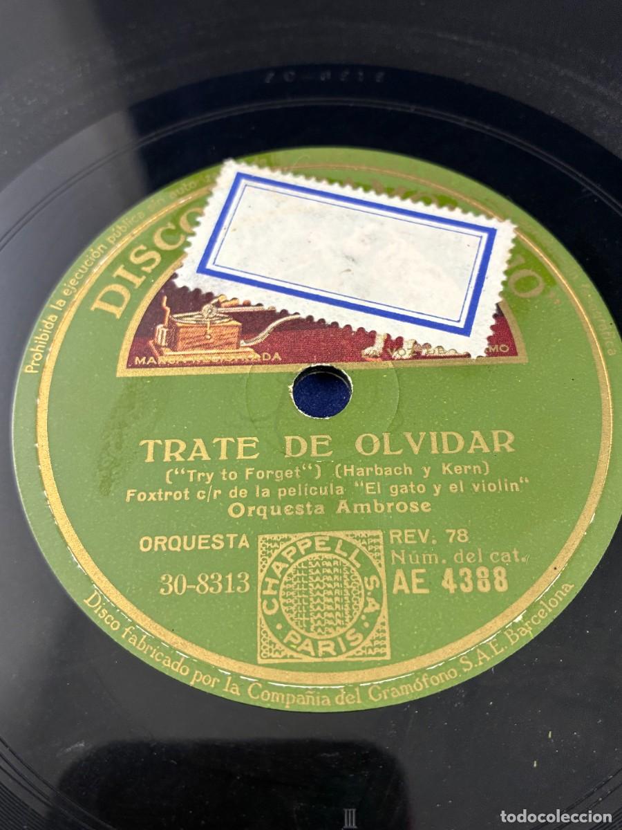Discos de pizarra: Disco pizarra 78 rpm Ambrose. El gato y el viol&iacute;n. Gram&oacute;fono AE 4388, Fox-Trot