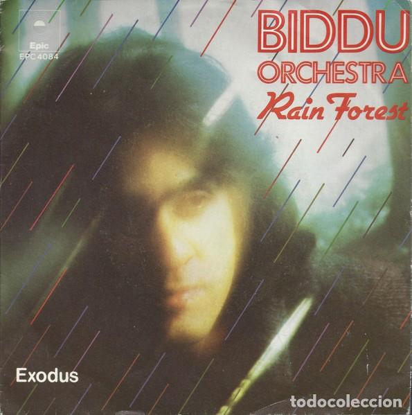 Discos de pizarra: Biddu Orchestra - Rain Forest (7&rdquo;) Selo:Epic Cat. n&ordm;: EPC 4084 Condi&ccedil;&atilde;o da M&iacute;dia: Near Mint (NM or