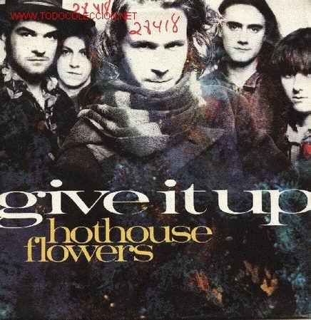 Discos de vinilo: Hothouse Flowers - Foto 1