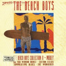 Disques de vinyle: THE BEACH BOYS . Lote 2968969