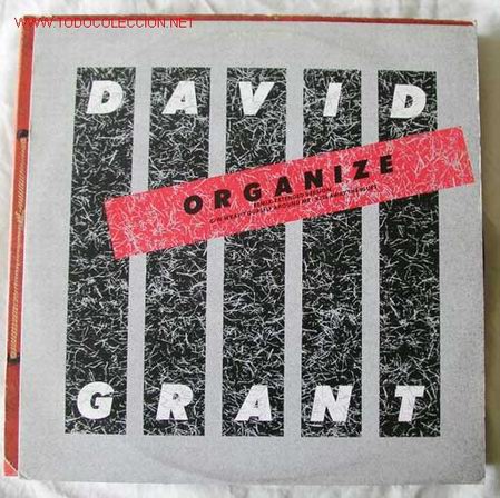 Discos de vinilo: DAVID GRANT ( ORGANIZE ) MAXISINGLE 45 - Foto 1