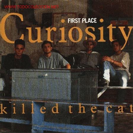 Discos de vinilo: Curiosity killed the cat - Foto 1