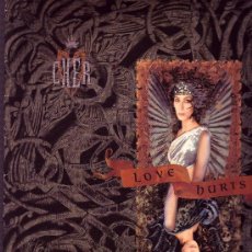 Discos de vinilo: CHER DISCO LP LOVE HURTS CONTIENE ENCARTE INCLUDES BONUS TRACK GEF 24427 SPA 1991. Lote 9224182