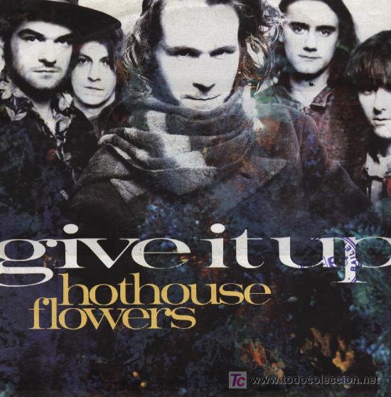 Discos de vinilo: HOTHOUSE FLOWERS / Give it up - Foto 1