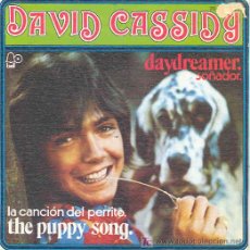 Discos de vinilo: DAVID CASSIDY - DAYDREAMER / THE PUPPY SONG - SINGLE ESPAÑOL DE 1973. Lote 4716979