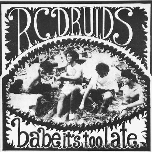 Discos de vinilo: R. C. Druids Experience, 1992 - Foto 1