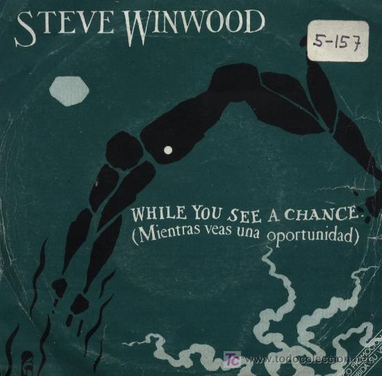 Discos de vinilo: Steve Winwood  -  While you see a chance - Foto 1