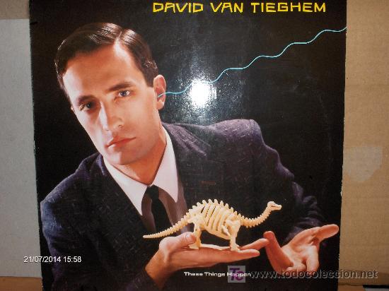 Discos de vinilo: DAVID VAN TIEGHEM ----- THESE THINGS HAPPEN - Foto 1