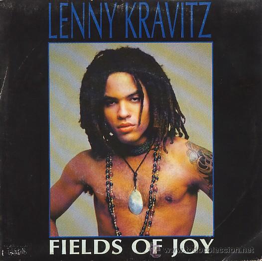 Discos de vinilo: lenny kravitz single - Foto 1