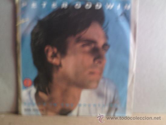 Discos de vinilo: PETER GODWIN ---- BABY&acute;S IS ON THE MOUNTAINS - Foto 1