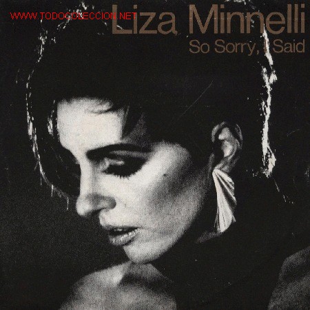 Discos de vinilo: Liza Minnelli - Foto 1