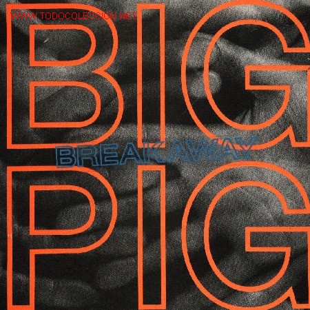 Discos de vinilo: Big Pig - Foto 1