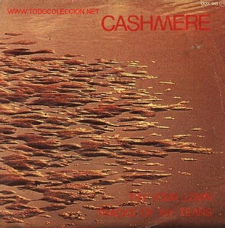Discos de vinilo: Cashmere - Foto 1