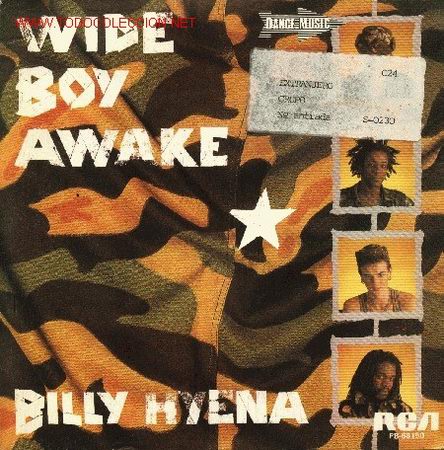 Discos de vinilo: Wide Hyena - Foto 1
